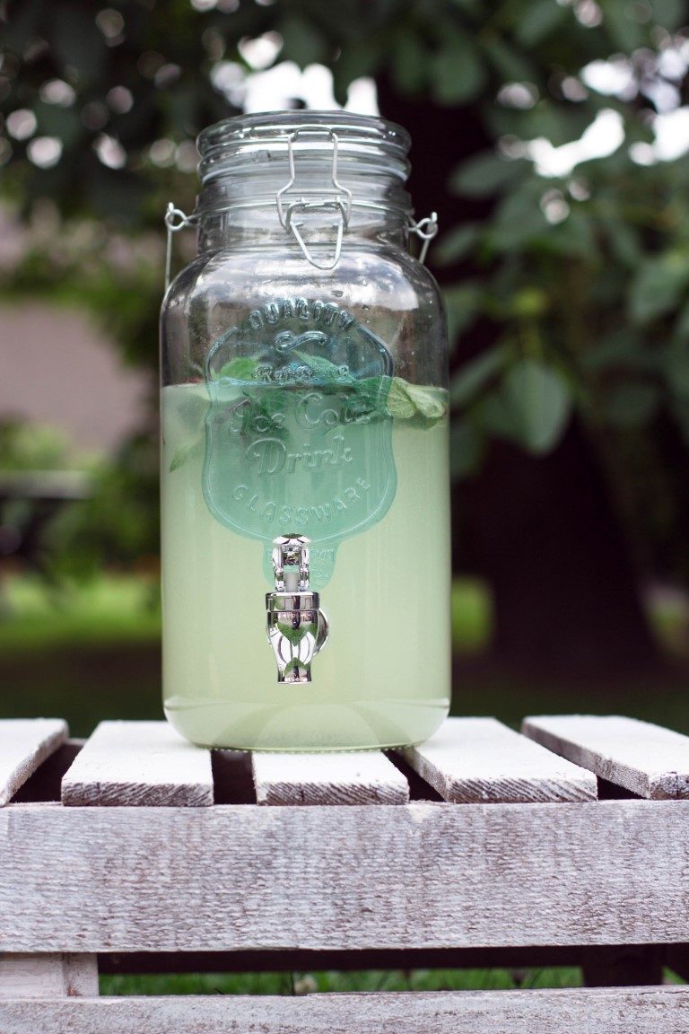 Zitronen-Limonade-38
