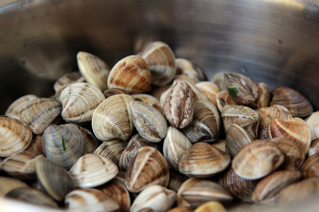 Spaghetti-mit-Venusmuscheln-6