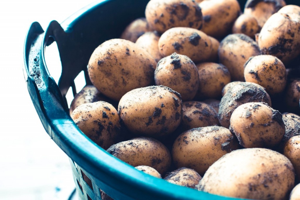 Rezept-Hasselback-Kartoffeln-aus-dem-Backofen-10