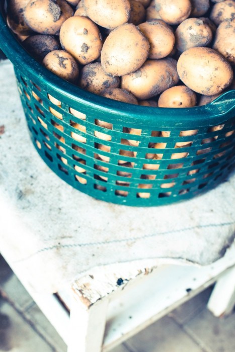 Rezept-Hasselback-Kartoffeln-aus-dem-Backofen-11