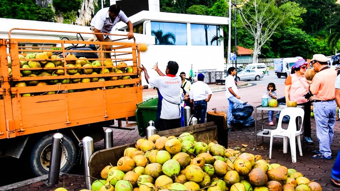 Kokosnuss-Exotische-Früchte-in-Thailand-18-Sorten-die-man-probieren-muss-64