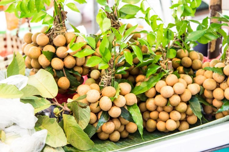 Longan-Exotische-Früchte-in-Thailand-18-Sorten-die-man-probieren-muss-84