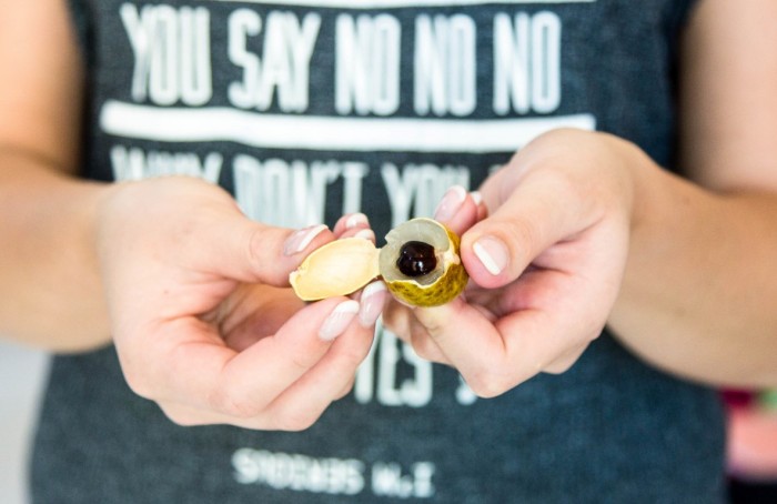 Longan-Exotische-Früchte-in-Thailand-18-Sorten-die-man-probieren-muss-85