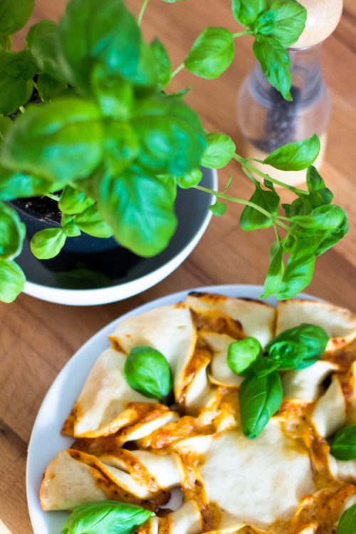 Pizzastern-Pizzateig-Pizzasauce-Rezept-27