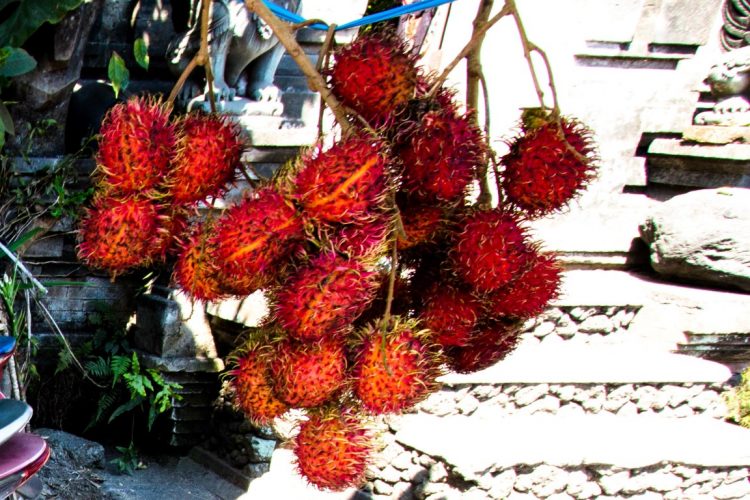 Rambutan-Exotische-Früchte-in-Thailand-18-Sorten-die-man-probieren-muss-11