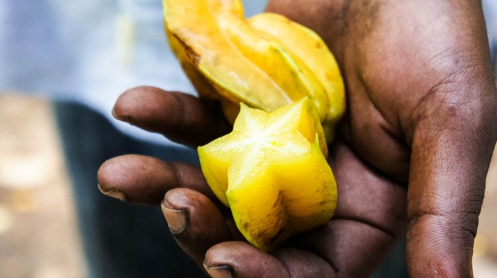 Sternfrucht-Exotische-Früchte-in-Thailand-18-Sorten-die-man-probieren-muss-55