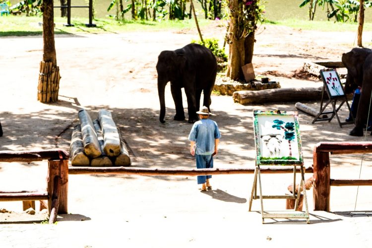 Thai-Elephant-Conservation-Center-Lampang-Elefantendorf-Thailand-04