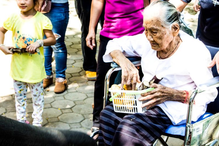 Thai-Elephant-Conservation-Center-Lampang-Elefantendorf-Thailand-08