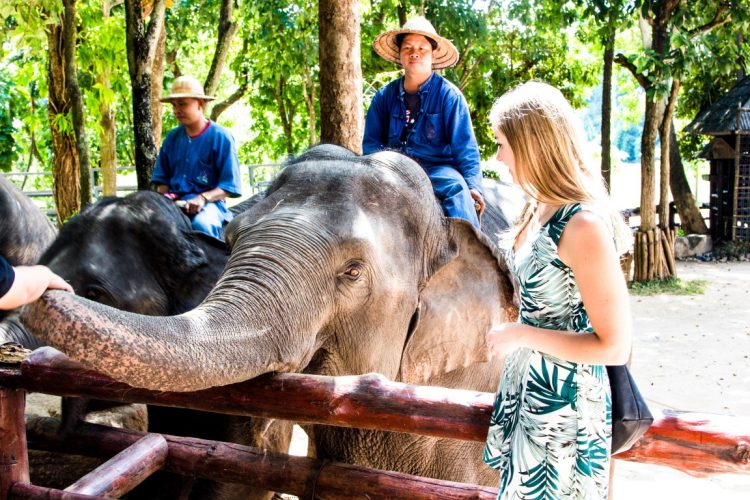 Thai-Elephant-Conservation-Center-Lampang-Elefantendorf-Thailand-06
