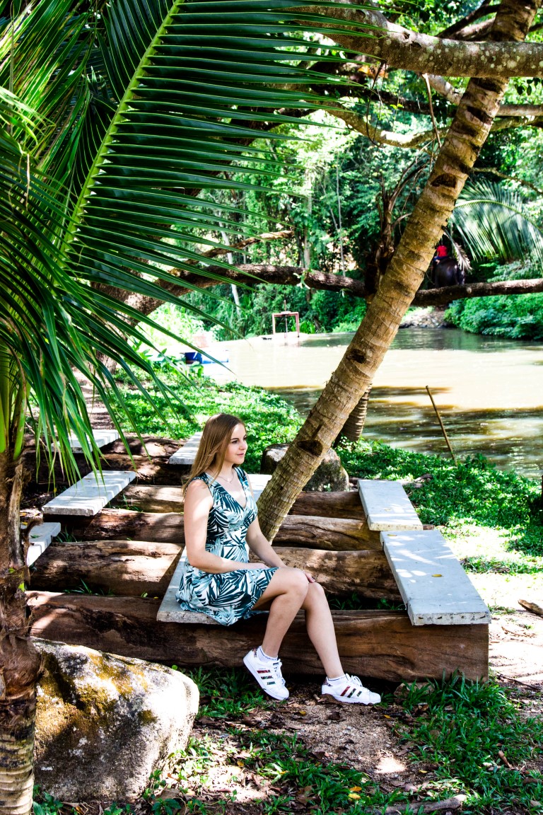 Thai-Elephant-Conservation-Center-Lampang-Elefantendorf-Thailand-11