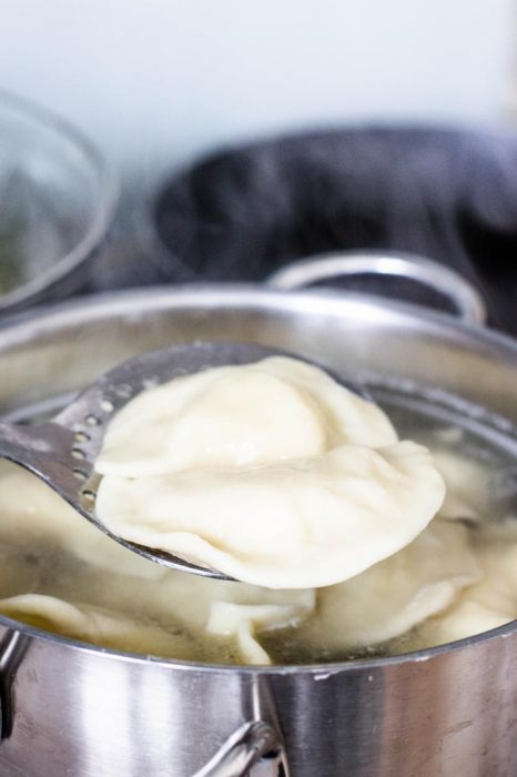 Polnische-Pierogi-Teig-Grundrezept-Rezept-15