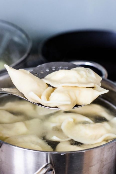 Polnische-Pierogi-Teig-Grundrezept-Rezept-19