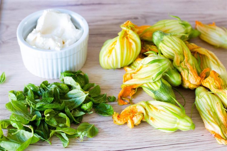 Gefüllte-Zucchiniblüten-mit-Ricotta-Rezept-01